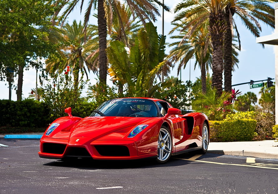 Red Ferrari Enzo Super Car Parked on Tropical Street with Palm Trees HD wallpaper