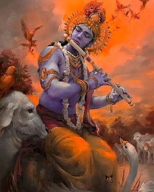 Lord Krishna Playing Flute in Golden Sunset with Peacock Crown and White Bull HD phone wallpaper