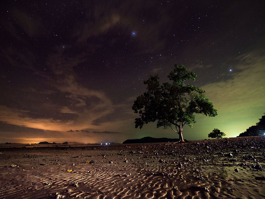 Lone Tree on a Rocky Shore Under a Starry Night Sky with Aurora Glow HD wallpaper