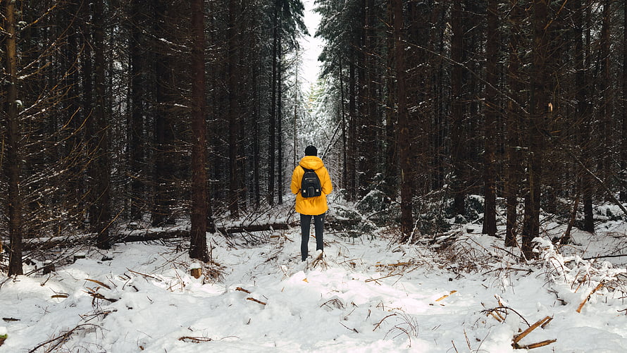 Lone Hiker in Yellow Jacket Walking Through Snowy Pine Forest HD wallpaper