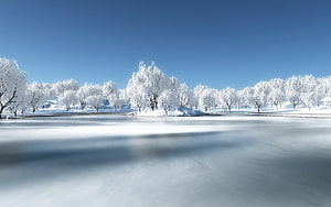 Serene Winter Landscape With Snow-Covered Trees And Frozen Lake Under Clear Blue Sky HD wallpaper