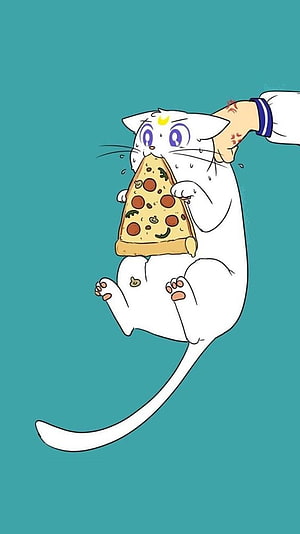 Sailor Moon Chibimoon Cat Eating Pizza Anime Illustration HD phone wallpaper