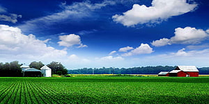 Vast Green Farmland with Red Barn and Silos Under a Bright Blue Sky HD wallpaper
