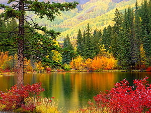 Vibrant Autumn Foliage Reflecting in a Serene Mountain Lake Surrounded by Evergreens HD wallpaper