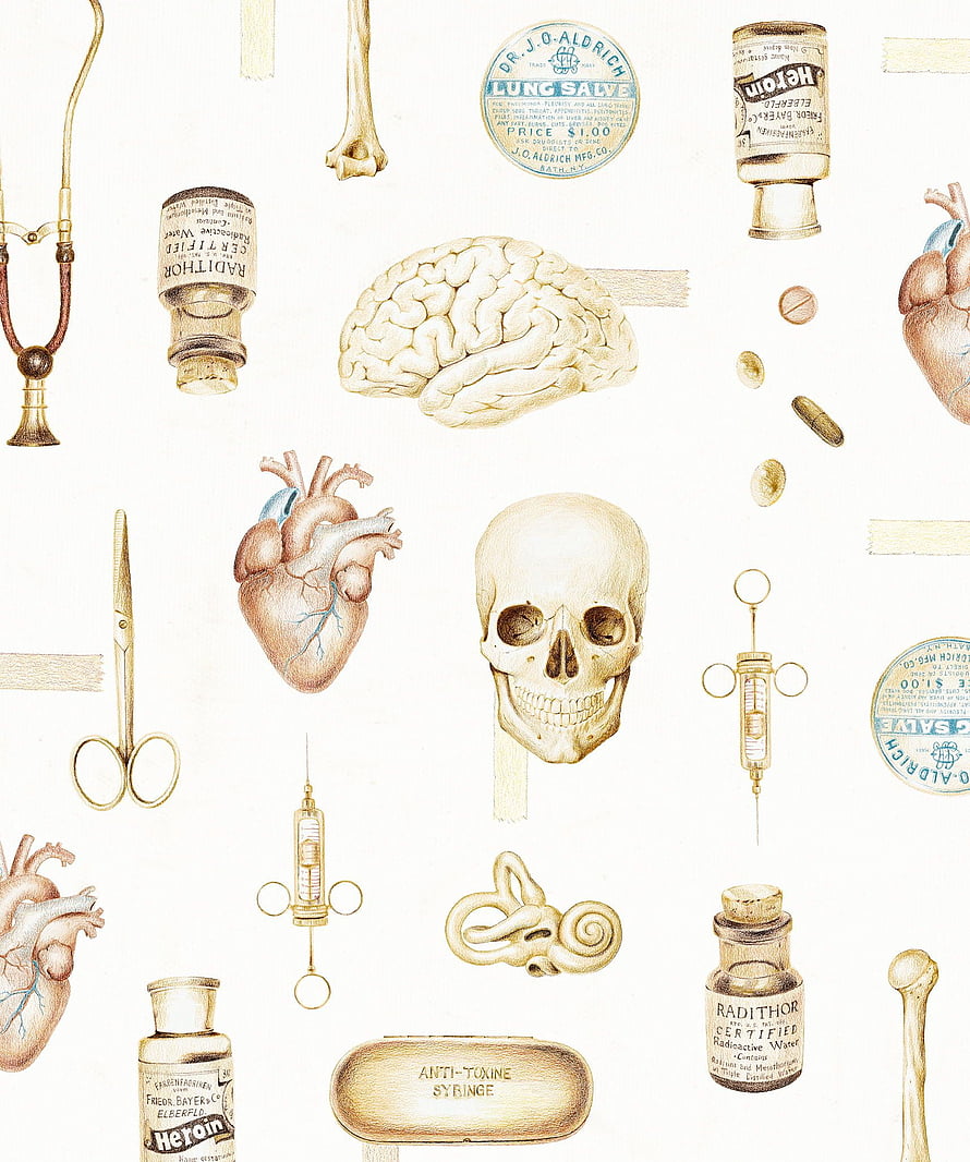 Vintage Anatomical Illustration Pattern Featuring Skull, Heart, Brain, and Medical Instruments HD phone wallpaper