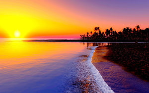 Tropical Beach Sunset with Silhouetted Palm Trees and Golden Ocean Horizon HD wallpaper