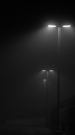 Monochrome Street Lamps Illuminating a Foggy Night Walkway HD phone wallpaper
