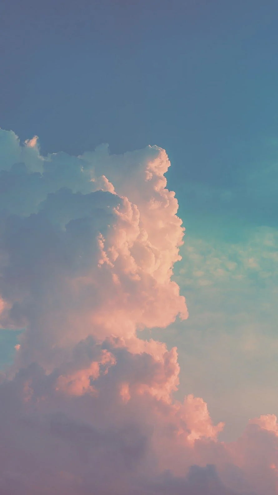 Soft Pink Cumulus Clouds Against a Gradient Blue Sky at Golden Hour HD phone wallpaper