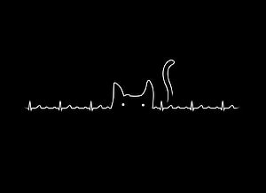 Minimalist Cat Heartbeat Line Art on Black Background HD wallpaper