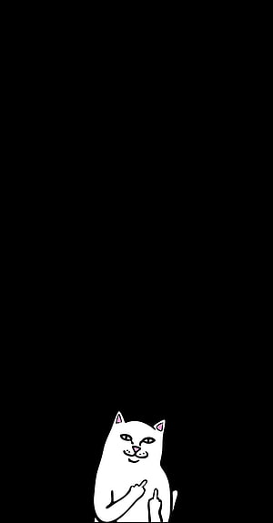 Ripndip White Cat Illustration Giving Middle Finger on Black Background HD phone wallpaper