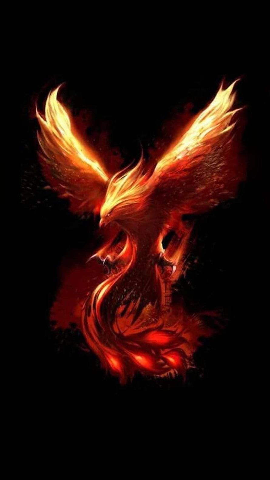 Majestic Fire Phoenix with Blazing Wings Against a Dark Background HD phone wallpaper