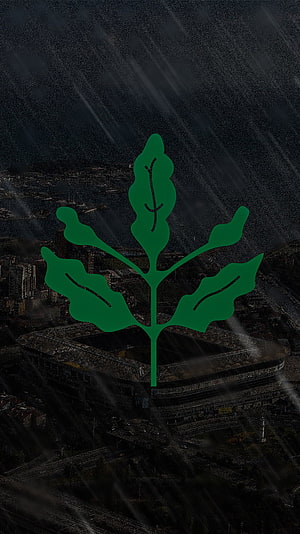 Fenerbahçe Stadium Under Heavy Rain with Green Leaf Emblem Overlay HD phone wallpaper