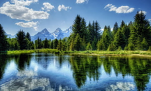 Serene Mountain Lake with Pine Forest Reflections Under a Bright Blue Sky HD wallpaper