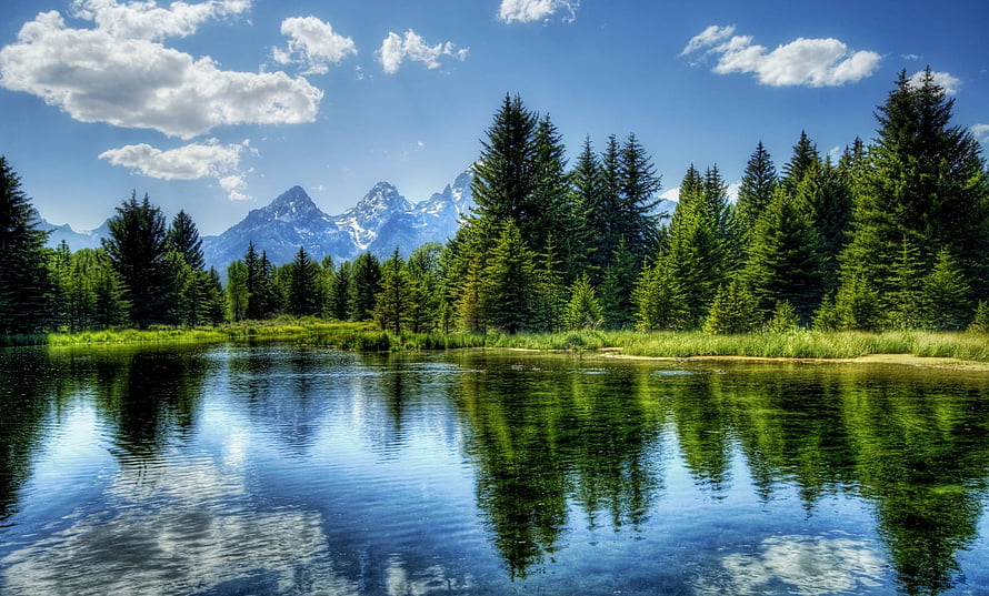 Serene Mountain Lake with Pine Forest Reflections Under a Bright Blue Sky HD wallpaper