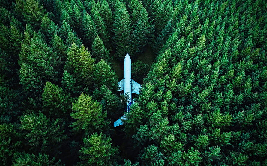 Aerial View of a White Airplane Resting in a Dense Evergreen Forest Canopy HD wallpaper