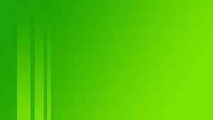 Minimalist Green Gradient Background with Vertical Line Accents HD wallpaper