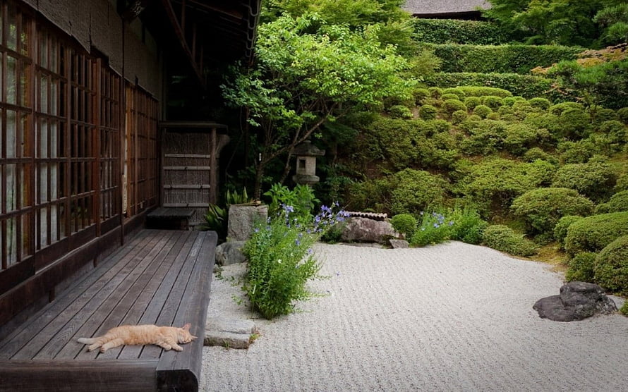 Orange Cat Sleeping on Wooden Veranda in Traditional Japanese Garden HD wallpaper