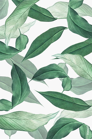 Elegant Tropical Leaf Pattern in Soft Green Tones on White Background HD phone wallpaper