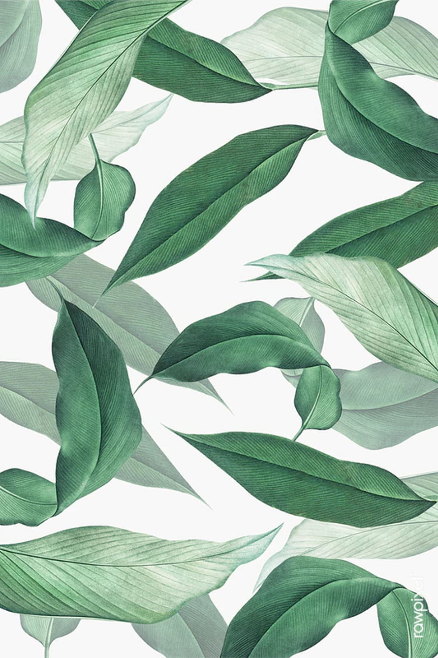 Elegant Tropical Leaf Pattern in Soft Green Tones on White Background HD phone wallpaper