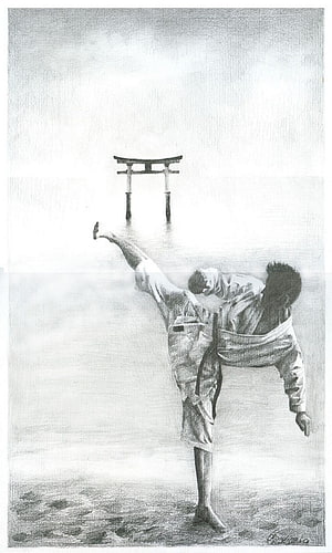 Kyokushin Karate Fighter Performing High Kick Near Torii Gate HD phone wallpaper