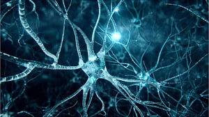 Glowing Neuron Network with Bright Synaptic Connections in Deep Blue Tones HD wallpaper
