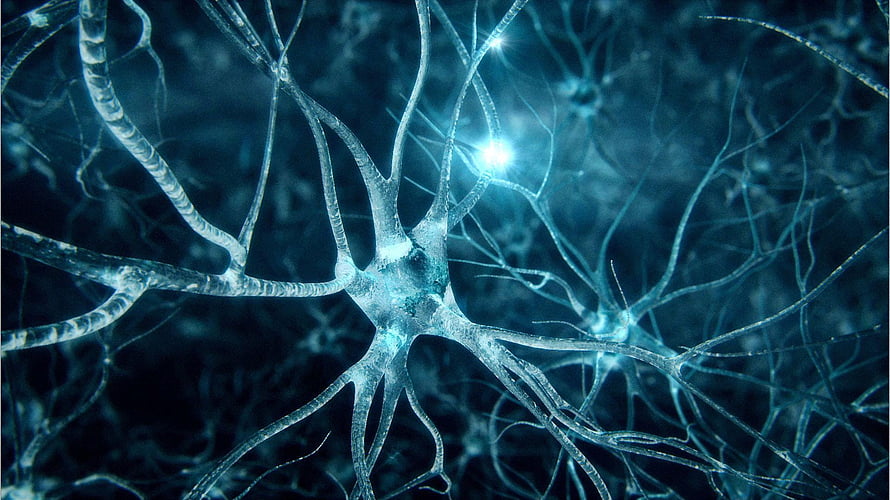 Glowing Neuron Network with Bright Synaptic Connections in Deep Blue Tones HD wallpaper