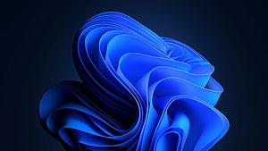 Windows 11 Default Blue Abstract Flowing Ribbon Wallpaper HD wallpaper