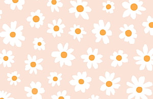 Cute Retro Daisy Floral Pattern on Soft Pink Background HD wallpaper