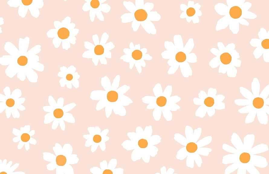 Cute Retro Daisy Floral Pattern on Soft Pink Background HD wallpaper