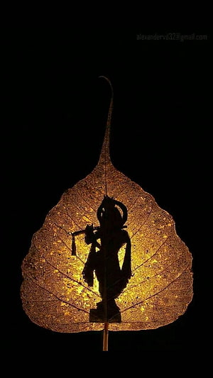 Lord Krishna Silhouette on Backlit Golden Leaf Against Black Background HD phone wallpaper