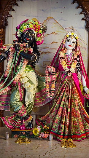 Radha Krishna Temple Deities in Vibrant Silk Garments and Floral Garlands HD phone wallpaper