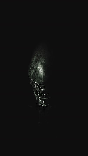 Xenomorph Head in Dark Void from Alien Covenant HD phone wallpaper