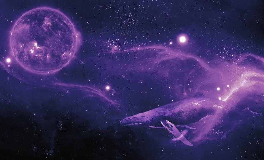 Cosmic Whale Swimming Through Purple Nebula and Starry Space HD wallpaper