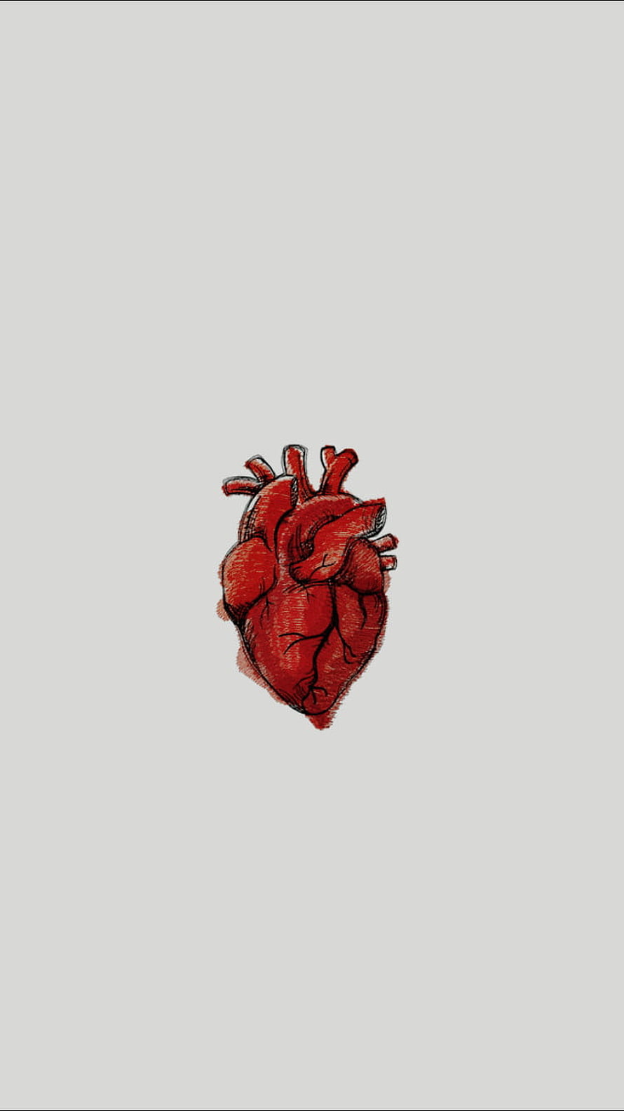 Anatomical Human Heart Illustration in Red Ink on Minimalist Gray Background HD phone wallpaper