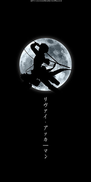 Levi Ackerman Silhouette Wielding Sword Against Full Moon, Levi Ackerman . Ilustrasi naga, Kapten levi, Seni jepang, Lit Anime HD phone wallpaper