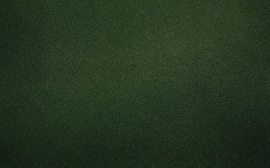 Dark Green Grass Texture Surface with Subtle Vignette and Natural Detail HD wallpaper