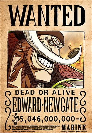 Edward Newgate One Piece Wanted Poster Artwork HD phone wallpaper