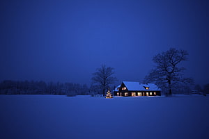 Cozy Snow-Covered House at Night with Illuminated Christmas Tree in Winter Landscape HD wallpaper