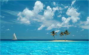 Tropical Island with Palm Trees and Sailboat in Turquoise Ocean HD wallpaper