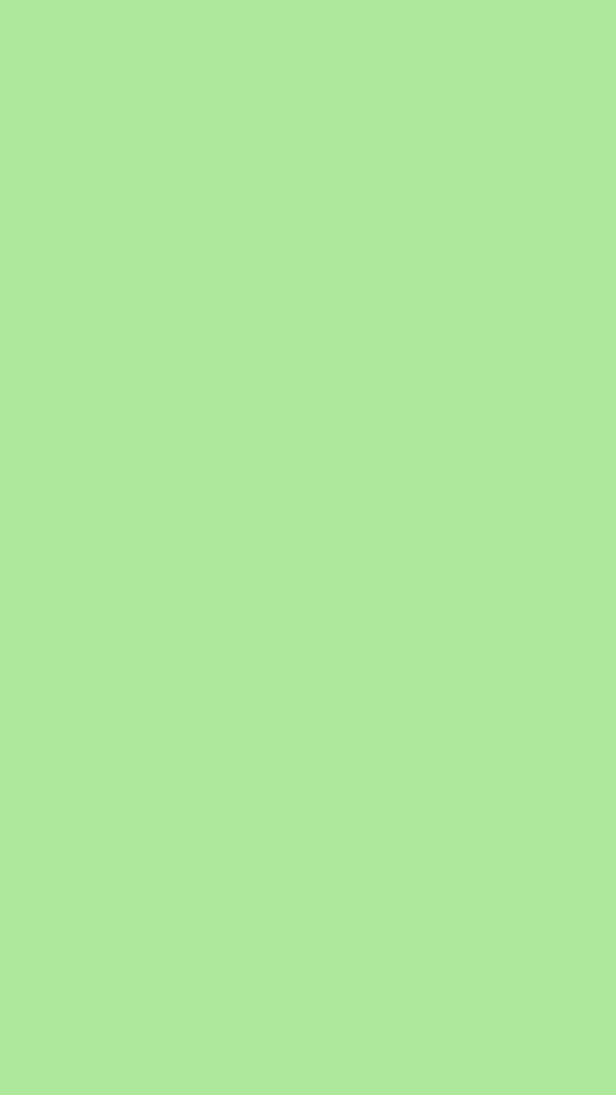 Soft Pastel Green Solid Color Minimalist Background HD phone wallpaper