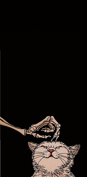 Skeletal Hand Forming Heart Above Sleeping Cat on Black Background HD phone wallpaper