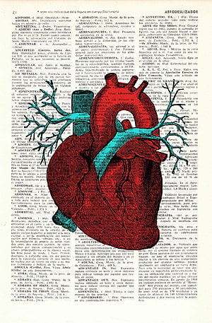 Anatomical Heart Illustration on Vintage Dictionary Page HD phone wallpaper