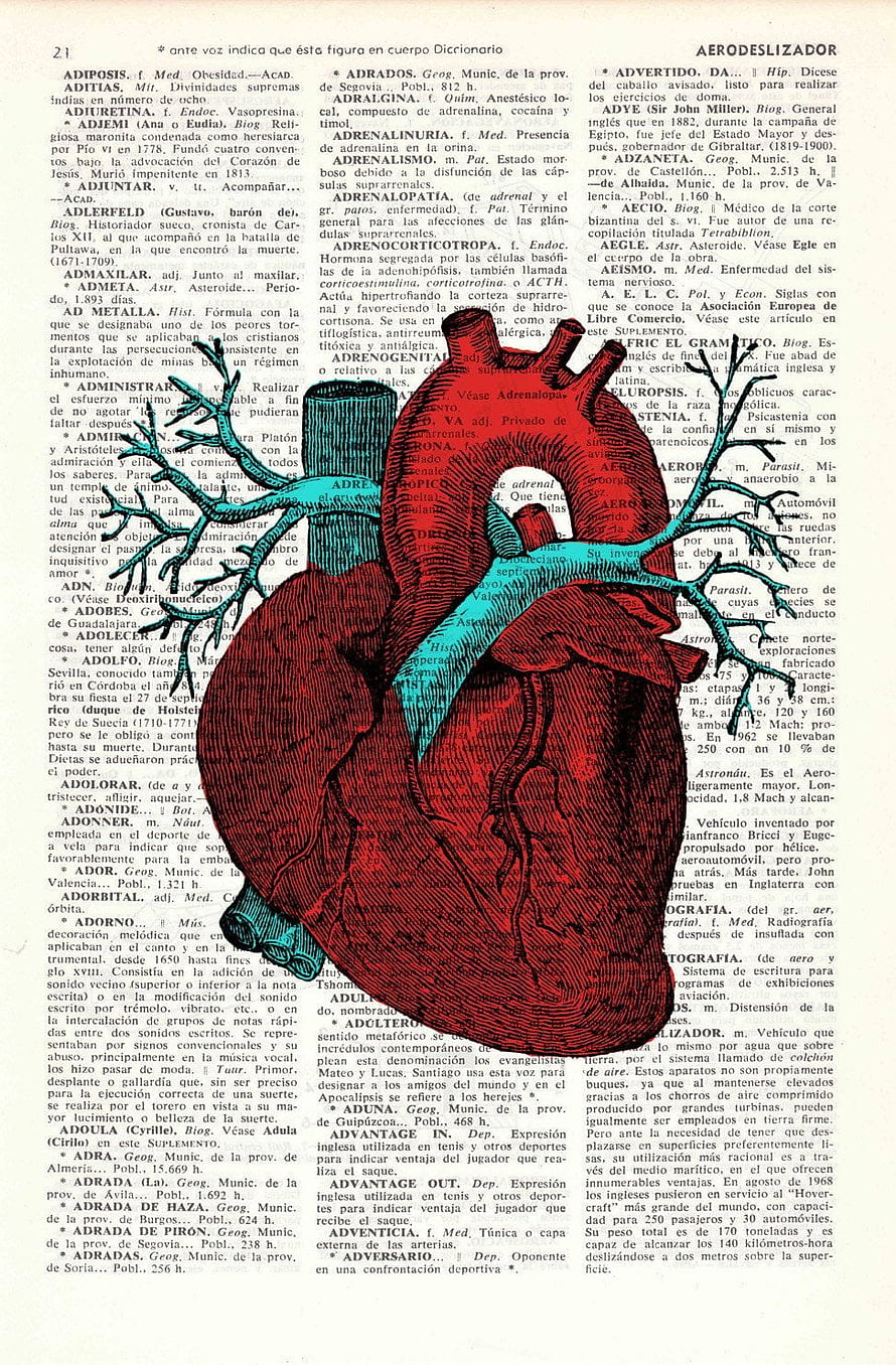 Anatomical Heart Illustration on Vintage Dictionary Page HD phone wallpaper