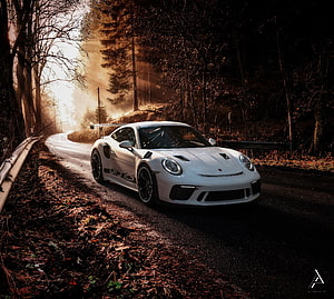White Porsche 911 GT3 RS on a misty forest road at sunrise HD wallpaper