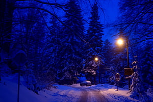 Snow-Covered Forest Road at Blue Hour with Glowing Street Lamps and Parked Cars HD wallpaper