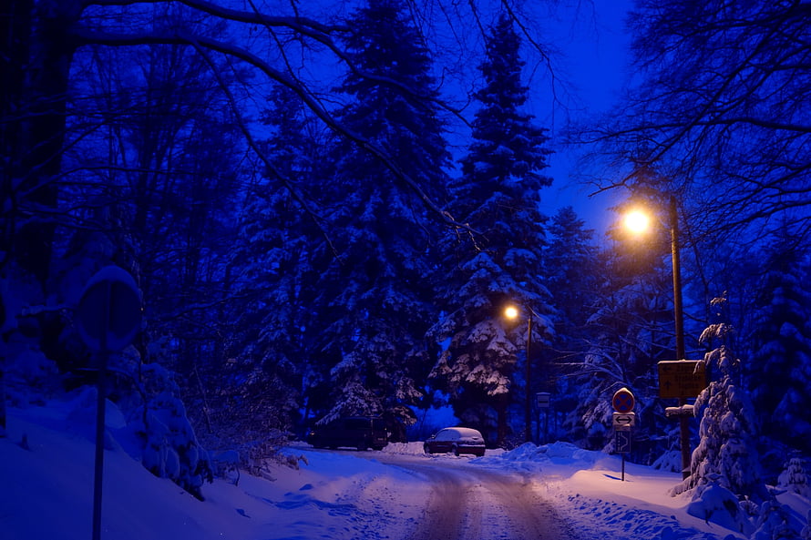 Snow-Covered Forest Road at Blue Hour with Glowing Street Lamps and Parked Cars HD wallpaper