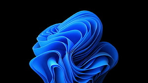 Windows 11 Default Blue Bloom Abstract 3D Wallpaper on Black Background HD wallpaper