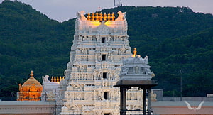 Tirumala Tirupati Temple Gopuram at Dusk with Golden Finials and Lush Hills HD wallpaper