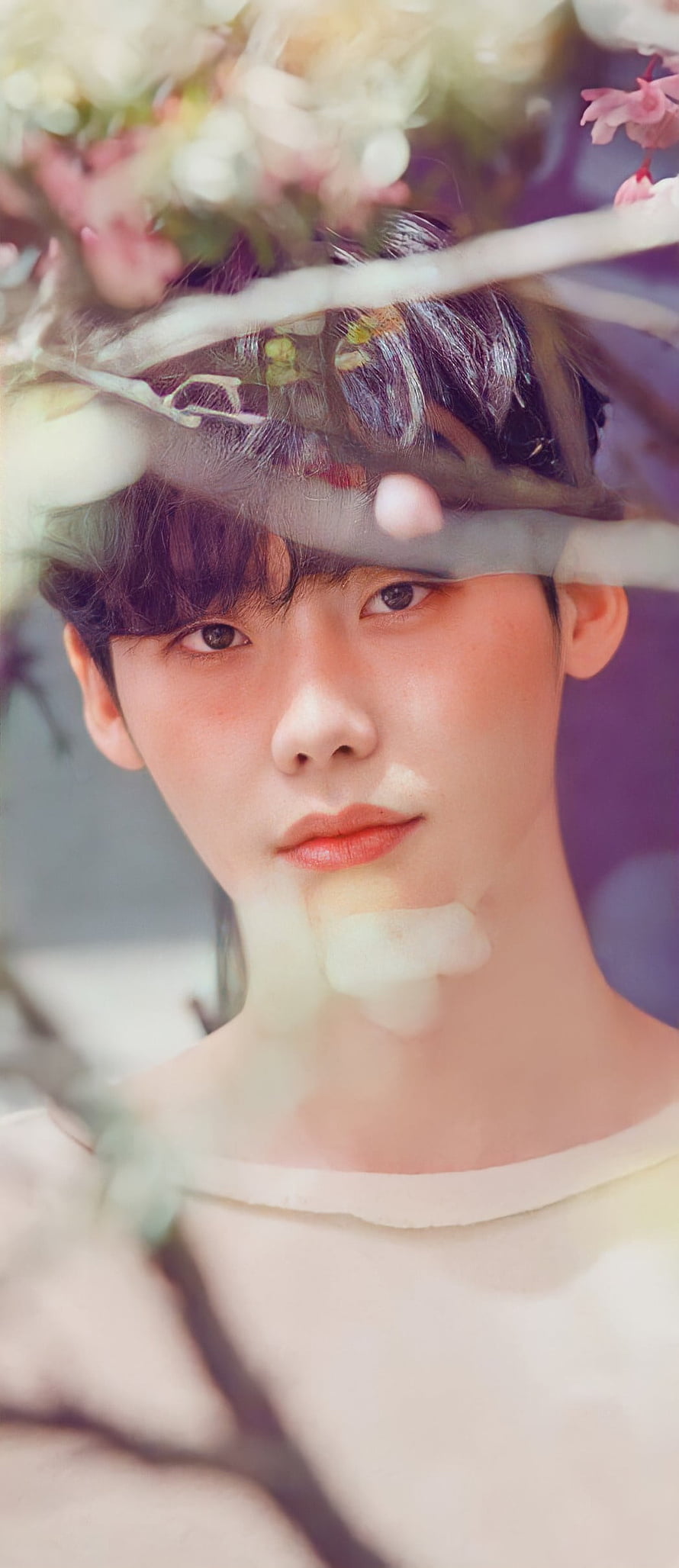 Lee Jong Suk Portrait Framed by Soft Blossoms and Branches HD phone wallpaper