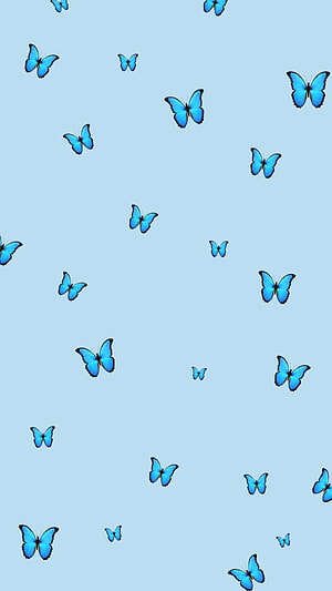 Scattered Blue Morpho Butterflies on a Soft Sky-Blue Background HD phone wallpaper